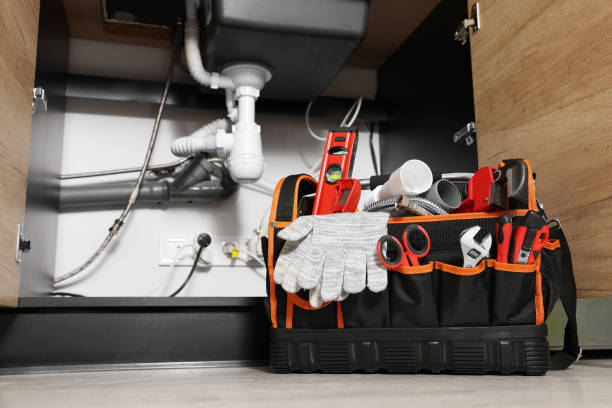 Best Clogged Drain Plumber  in Balm, FL